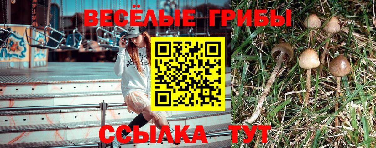 Галлюциногенные грибы Cubensis  Вход с VPN  Кимры 